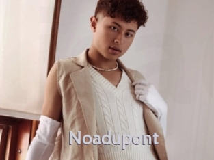 noadupont Live Cam 66