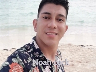 noah_cock Live Cam 66