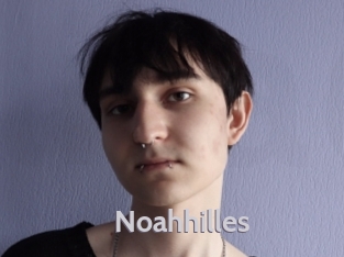 noahhilles Live Cam 66