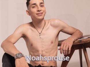 Noahsprouse