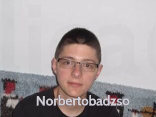 Norbertobadzso