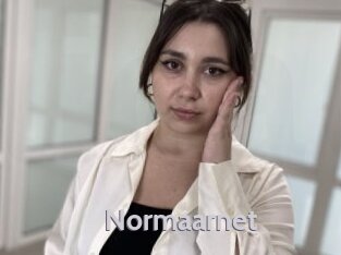 Normaarnet