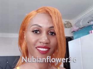Nubianflower36