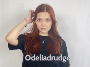 Odeliadrudge
