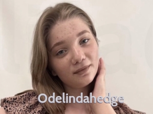 Odelindahedge