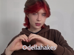 Odellahakes