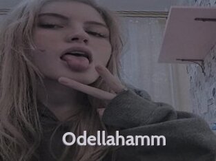 Odellahamm