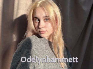 Odelynhammett