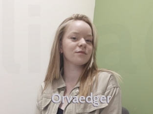 Orvaedger