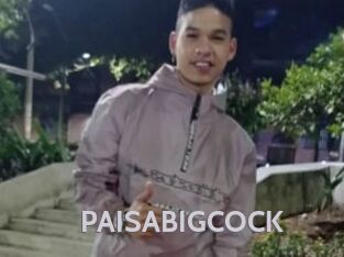 PAISABIGCOCK
