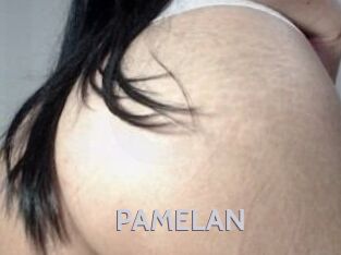 PAMELA_N