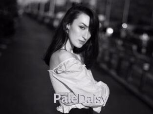 PaleDaisy