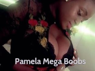 Pamela_Mega_Boobs