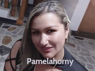 Pamelahorny