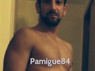 Pamigue84