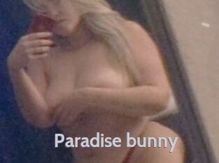 Paradise_bunny