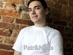 PatrikNesis