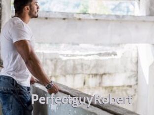 PerfectguyRobert