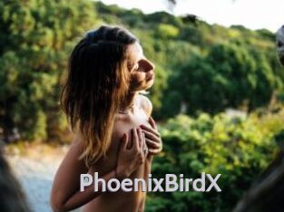 PhoenixBirdX
