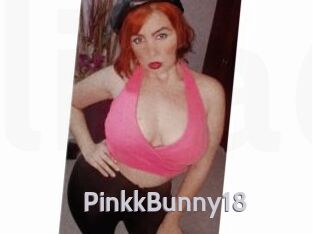 PinkkBunny18