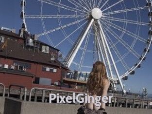 PixelGinger