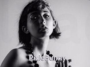 Pixie_Bunny