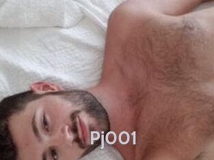 Pj001