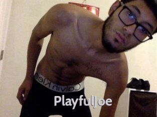 PlayfulJoe
