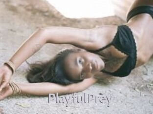 PlayfulPrey
