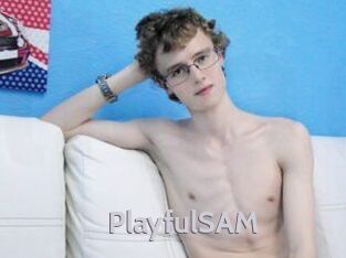 PlayfulSAM