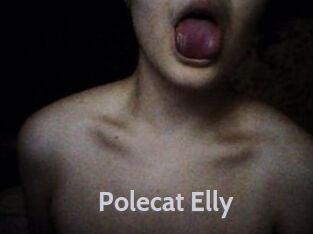 Polecat_Elly