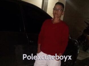 Polexcuteboyx