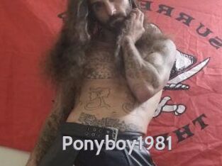 Ponyboy1981