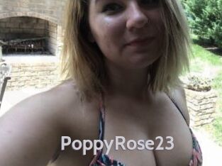 PoppyRose23