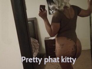 Pretty_phat_kitty