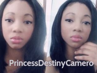 PrincessDestinyCamero
