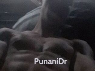 PunaniDr