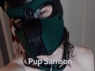 Pup_Samson