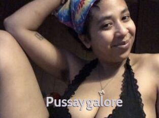 Pussaygalore