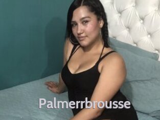 Palmerrbrousse