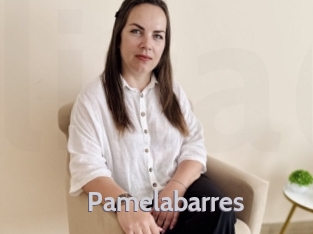 Pamelabarres