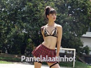 Pamelalaatinhot