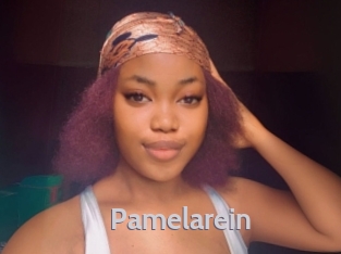 Pamelarein