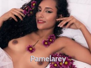 Pamelarey