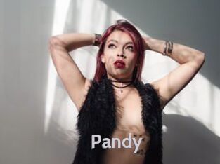 Pandy