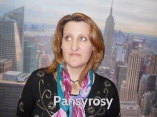 Pansyrosy
