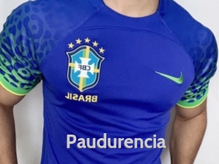 Paudurencia