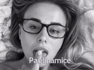 Paulinamice