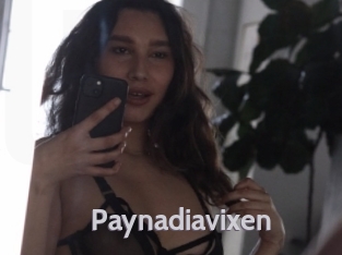 Paynadiavixen