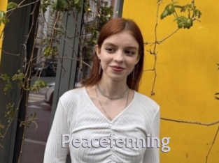Peacefenning